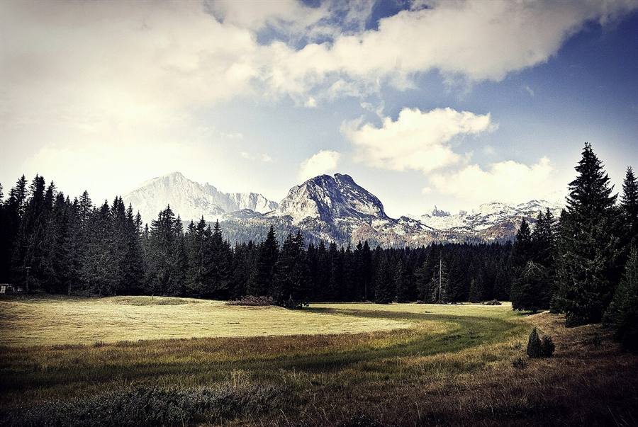 Durmitor National Park peaks and forests in northern Montenegro